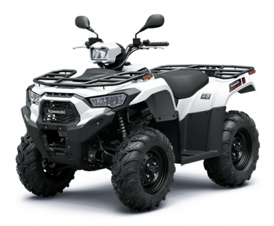 Brute Force 450 (2025)